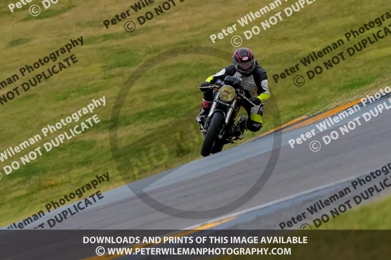 PJ Motorsport 2019;anglesey no limits trackday;anglesey photographs;anglesey trackday photographs;enduro digital images;event digital images;eventdigitalimages;no limits trackdays;peter wileman photography;racing digital images;trac mon;trackday digital images;trackday photos;ty croes